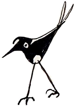 Birdy