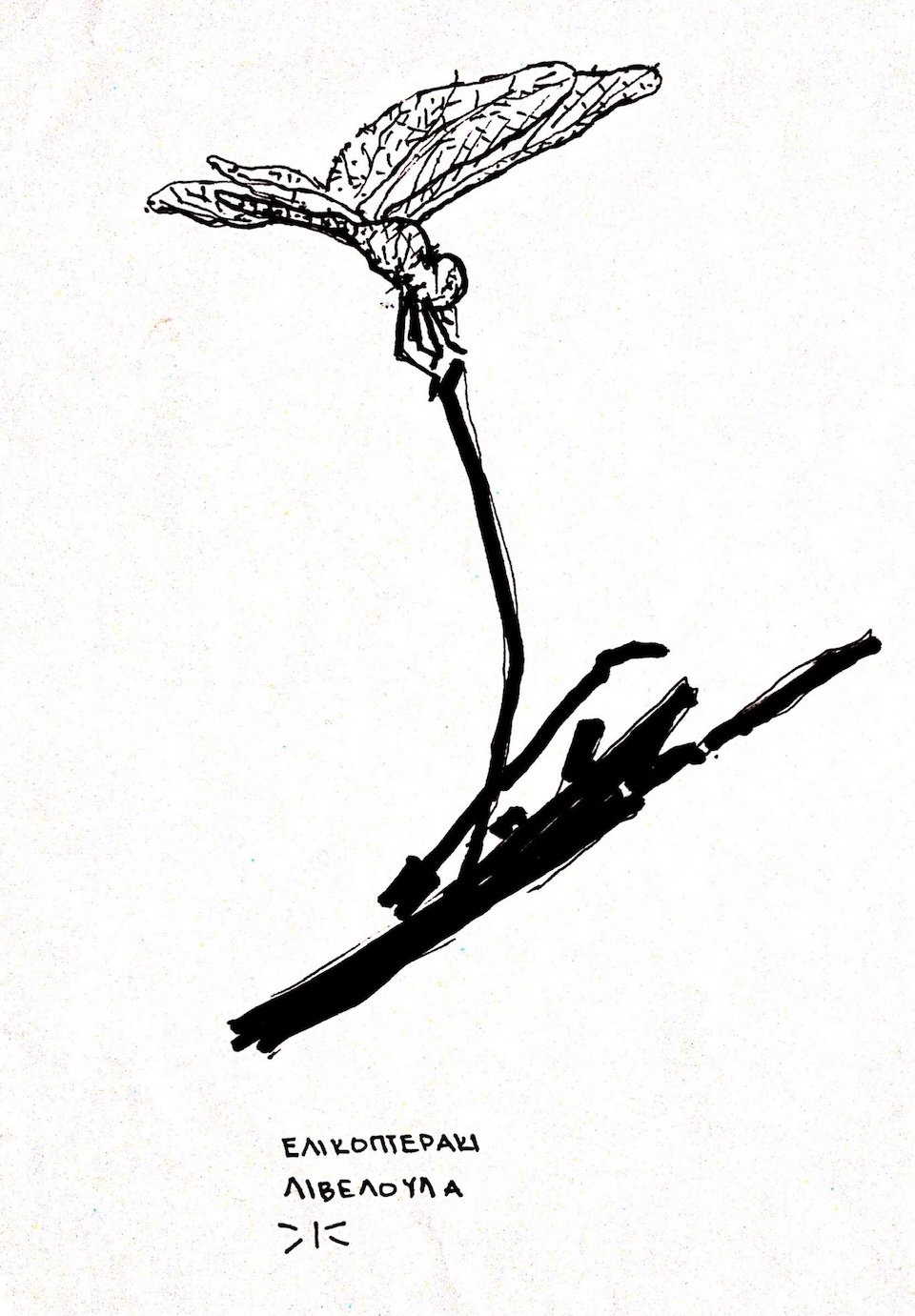 E02.22.960.Dragonfly